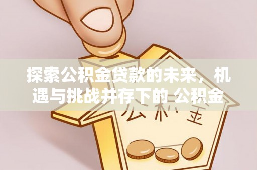 夏邑探索公积金贷款的未来，机遇与挑战并存下的 公积金贷款风险防控