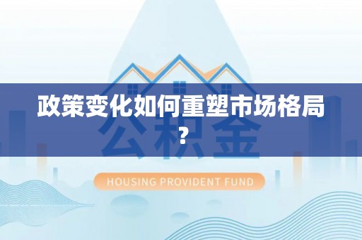 夏邑政策变化如何重塑市场格局？