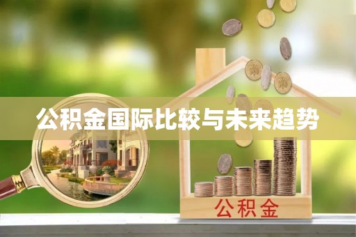 夏邑公积金国际比较与未来趋势