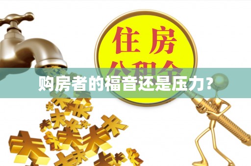 夏邑购房者的福音还是压力？