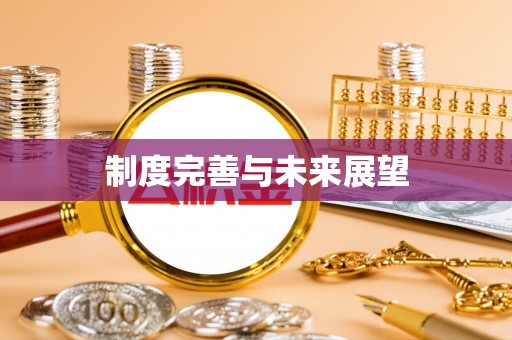夏邑制度完善与未来展望
