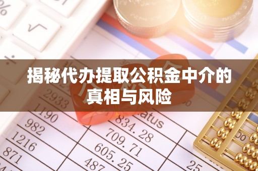夏邑揭秘代办提取公积金中介的真相与风险