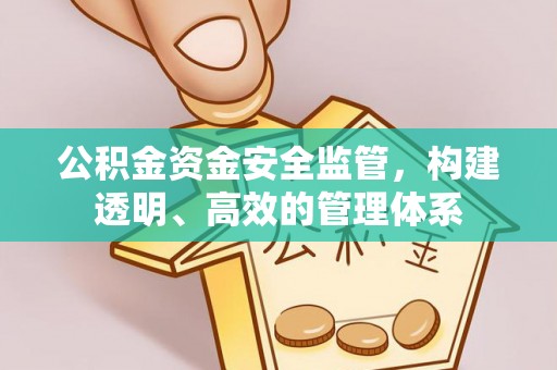 夏邑公积金资金安全监管，构建透明、高效的管理体系
