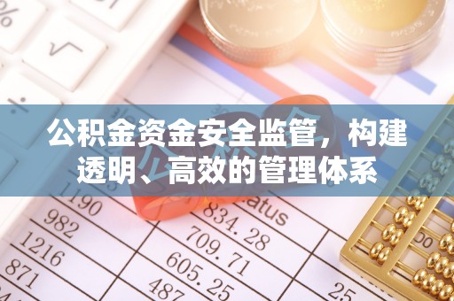 夏邑公积金资金安全监管，构建透明、高效的管理体系