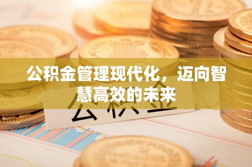 夏邑公积金管理现代化，迈向智慧高效的未来