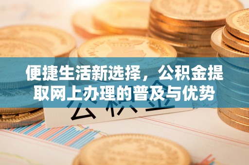 夏邑便捷生活新选择，公积金提取网上办理的普及与优势