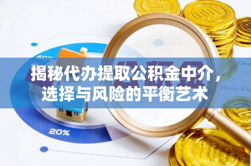 夏邑揭秘代办提取公积金中介，选择与风险的平衡艺术
