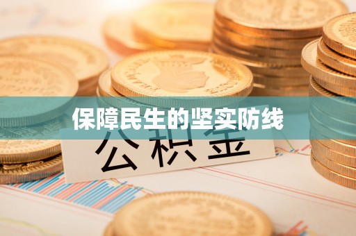夏邑保障民生的坚实防线