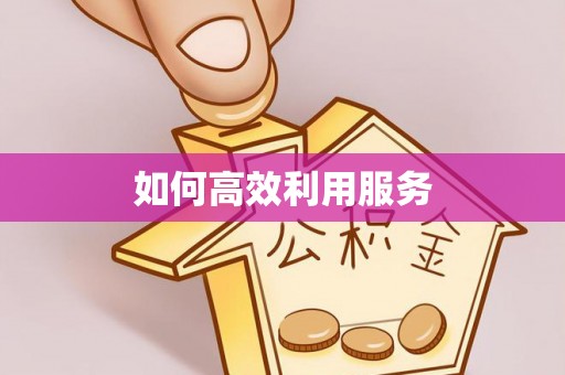 夏邑如何高效利用服务