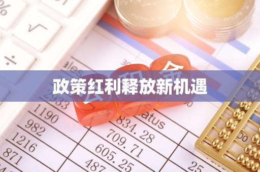夏邑政策红利释放新机遇