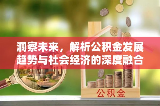 夏邑洞察未来，解析公积金发展趋势与社会经济的深度融合