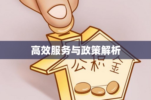 夏邑高效服务与政策解析
