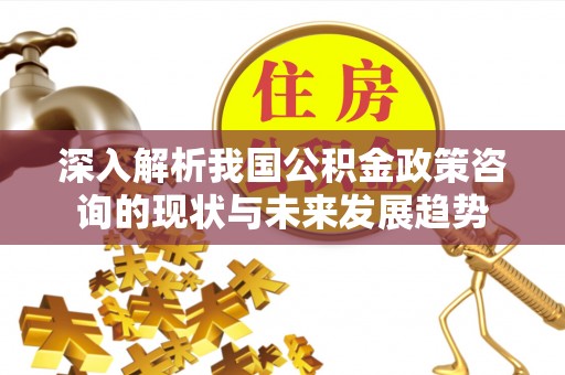 夏邑深入解析我国公积金政策咨询的现状与未来发展趋势