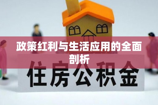 夏邑政策红利与生活应用的全面剖析