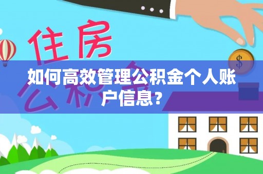 夏邑如何高效管理公积金个人账户信息？