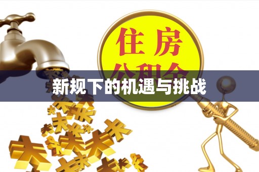 夏邑新规下的机遇与挑战