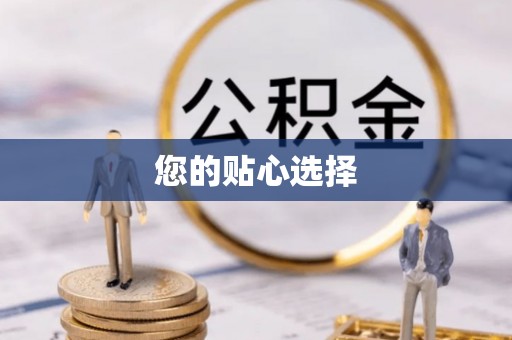 夏邑您的贴心选择