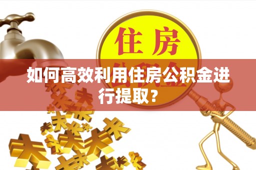 夏邑如何高效利用住房公积金进行提取？