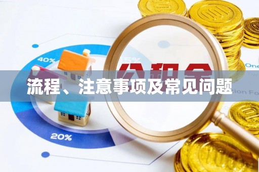 夏邑流程、注意事项及常见问题