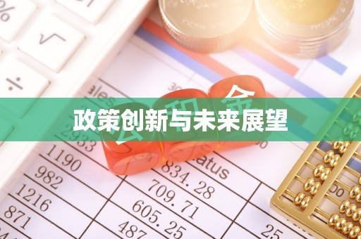 夏邑政策创新与未来展望