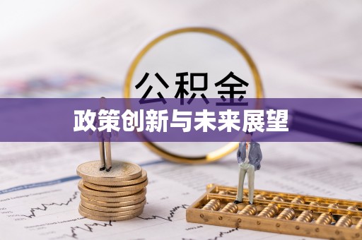 夏邑政策创新与未来展望